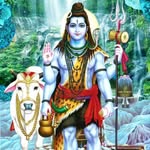 ashwan1981 profile picture