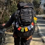ashwinimaurya_ profile picture