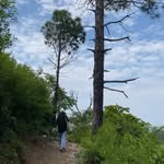 asiifa.r profile picture
