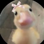 asma677991 profile picture