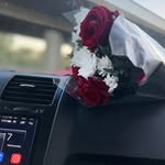asmaa.qattash profile picture