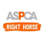 aspcarighthorse profile picture