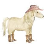aspenranchfam profile picture