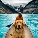 aspenthemountainpup profile picture