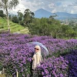 asrimayalestari profile picture
