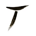 associationtournefou profile picture