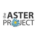 asterprojectatl profile picture