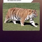 asthenicryhme22_ profile picture