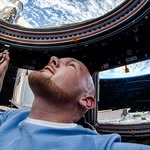 astro_alex_esa profile picture