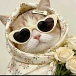 astrolise_ profile picture