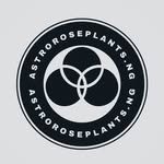 astroroseplants.ng profile picture