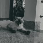 aswvin___ profile picture