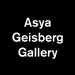asyageisberggallery profile picture