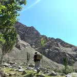 asyf_hossein profile picture