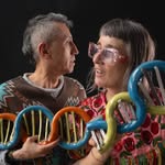 aterciopelados profile picture