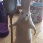 atharv_y5 profile picture