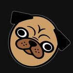 atin.co.ar profile picture