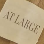atlargeagency profile picture