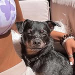 atlasthechipoo profile picture