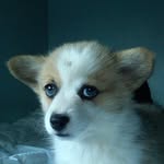 attentionmerchants profile picture