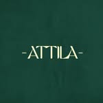 attilasevilla profile picture