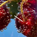 attrayler.co profile picture