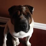atucker1477 profile picture