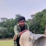 atula.o profile picture