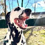 atwistofoliver profile picture