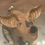 aubreycridlebaugh profile picture