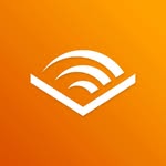 audible_in profile picture