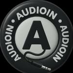 audioin_ profile picture