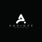 audione.2025 profile picture