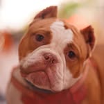 auntboii_maxx profile picture