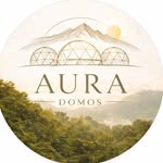 aura.domos profile picture