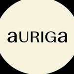 auriga.gallery profile picture