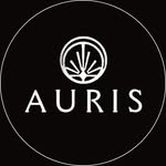aurisbanquet profile picture