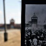 auschwitzmemorial profile picture