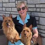 aussiedogsfly profile picture