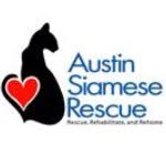 austin.siamese.rescue profile picture