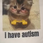 autisticaditya profile picture