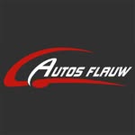 autosflauw profile picture
