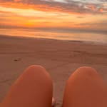ava_frahlman profile picture
