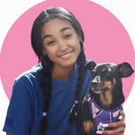 avaspetpalace profile picture