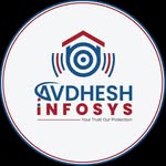 avdheshinfosys profile picture