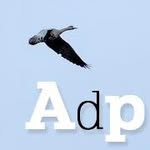 avesdeprensa profile picture