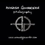 avigowariker profile picture