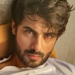 avinash_kashmir profile picture