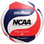 avolleyballteam profile picture