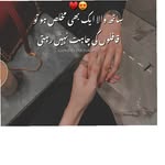 awan_sab_8912583 profile picture